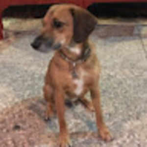 Meet your Posher, Tami